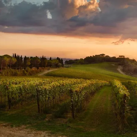 Tenuta San Vito In Fior Di Selva Lantgård *