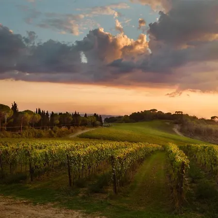 Tenuta San Vito In Fior Di Selva Lantgård Montelupo Fiorentino
