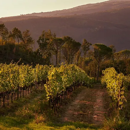 Tenuta San Vito In Fior Di Selva Lantgård *