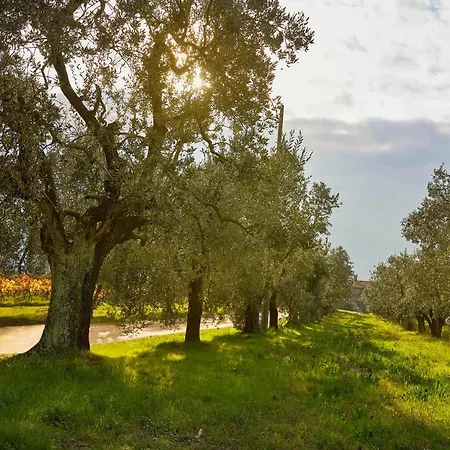 Tenuta San Vito In Fior Di Selva Lantgård