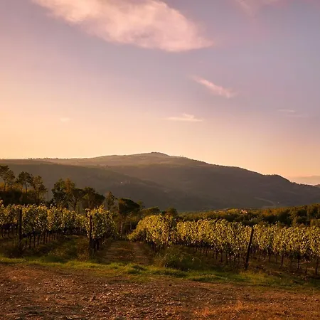Tenuta San Vito In Fior Di Selva Lantgård