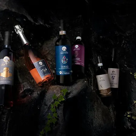Tenuta San Vito In Fior Di Selva *