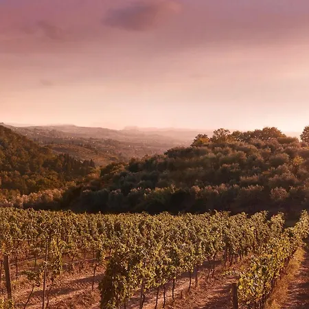 Tenuta San Vito In Fior Di Selva Farma *