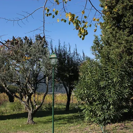 Tenuta San Vito In Fior Di Selva Farm stay