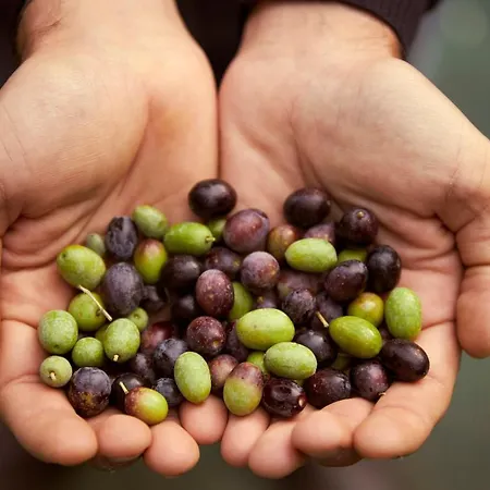 Tenuta San Vito In Fior Di Selva Κατάλυμα σε φάρμα