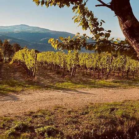 Tenuta San Vito In Fior Di Selva Κατάλυμα σε φάρμα *