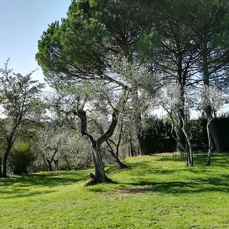Κατάλυμα σε φάρμα Tenuta San Vito In Fior Di Selva *