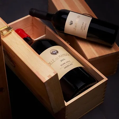 Tenuta San Vito In Fior Di Selva Κατάλυμα σε φάρμα Montelupo Fiorentino