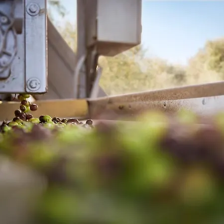 Tenuta San Vito In Fior Di Selva Κατάλυμα σε φάρμα